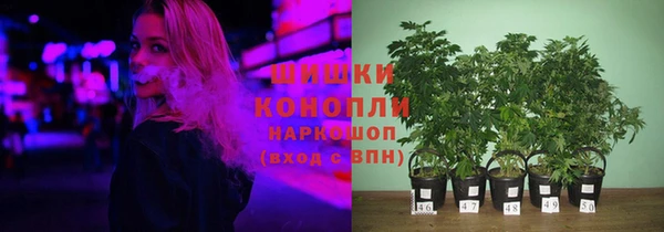 ПСИЛОЦИБИНОВЫЕ ГРИБЫ Богородицк