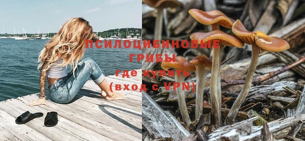 крисы Фурманов