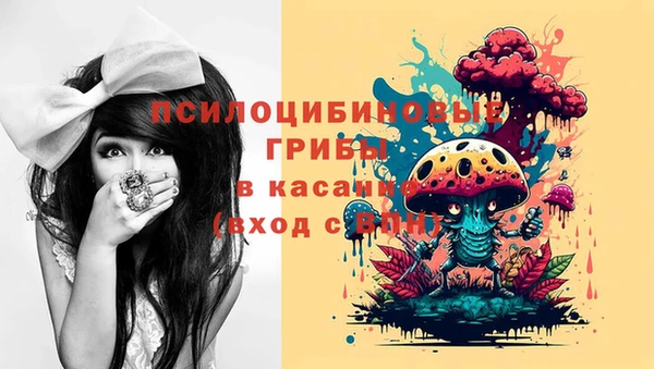 крисы Богданович
