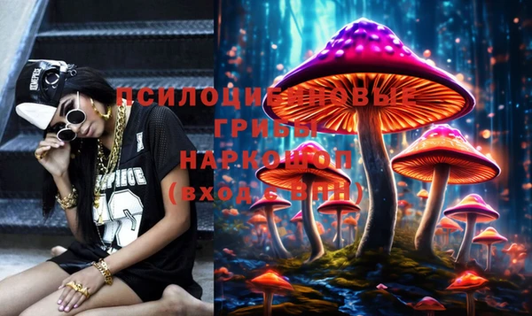 ПСИЛОЦИБИНОВЫЕ ГРИБЫ Богородицк