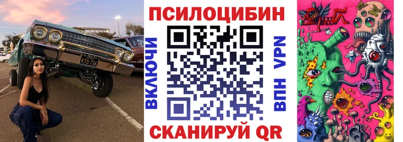 блэк спрут рабочий сайт  где найти наркотики  Краснокаменск  Псилоцибиновые грибы Magic Shrooms 